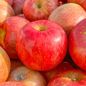 농가살리기 경북 햇살 부사 사과 (못난이/실속용) 10kg