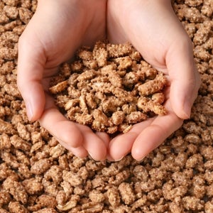 씨앤넛 커피땅콩 200g, 400g / 주전부리 견과류 간식
