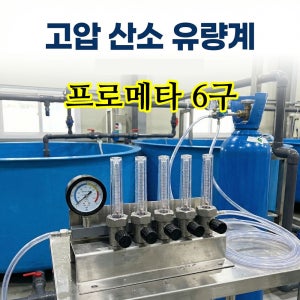 [프로메타] 6구 대양 DY112시리즈 플로우미터 유량계 고압산소 액화 고압분지 양어장