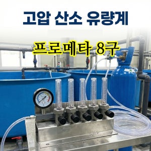 [프로메타] 8구 대양 DY112시리즈 플로우미터 유량계 고압산소 액화 고압분지 양어장