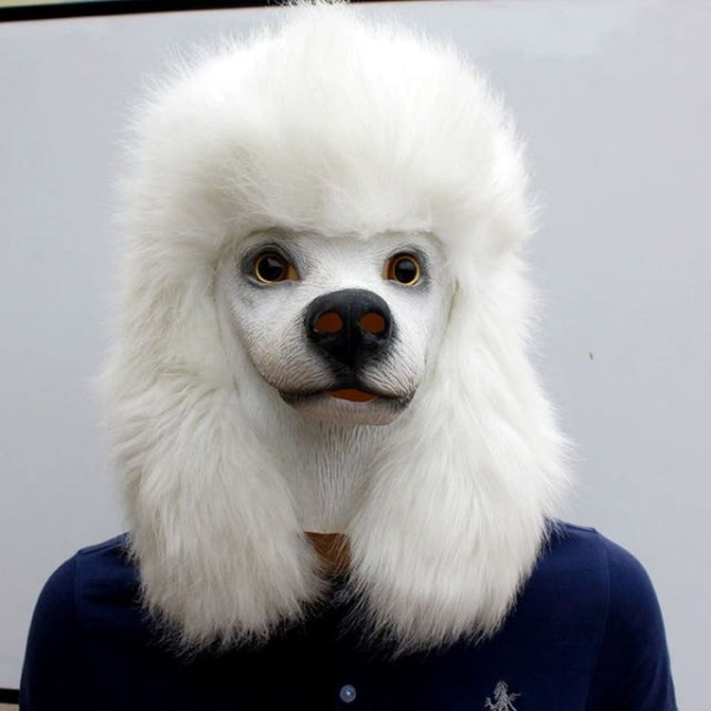 Standard Poodle (스탠다드 푸들)