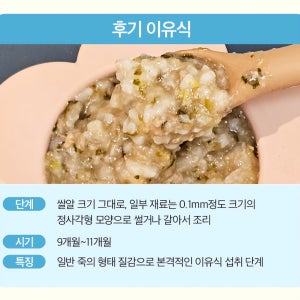 아이야 후기 이유식 260ml