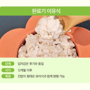 아이야 완료기 이유식 260ml