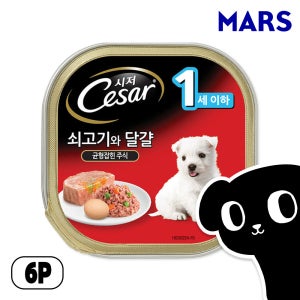 시저 캔 강아지 주식 습식 사료 퍼피 쇠고기, 100g, 6개