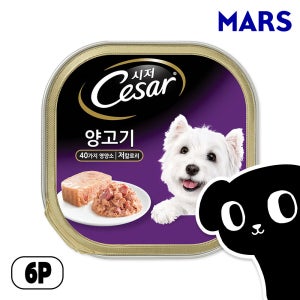시저 캔 강아지 주식 습식 사료 양고기, 100g, 6개
