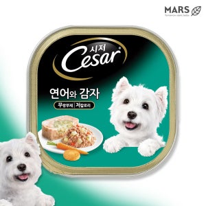 시저 캔 강아지 주식 습식 사료 연어와 감자, 100g, 3개