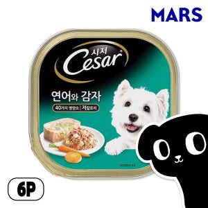 시저 캔 강아지 주식 습식 사료 연어와 감자, 100g, 6개