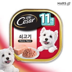 시저 캔 강아지 주식 습식 사료 11세 쇠고기, 100g, 6개