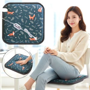 온열 전기 방석 1인용 엉뜨 장판 극세사 애견방석