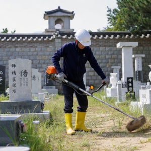 서울 경기도 잔디 벌초대행