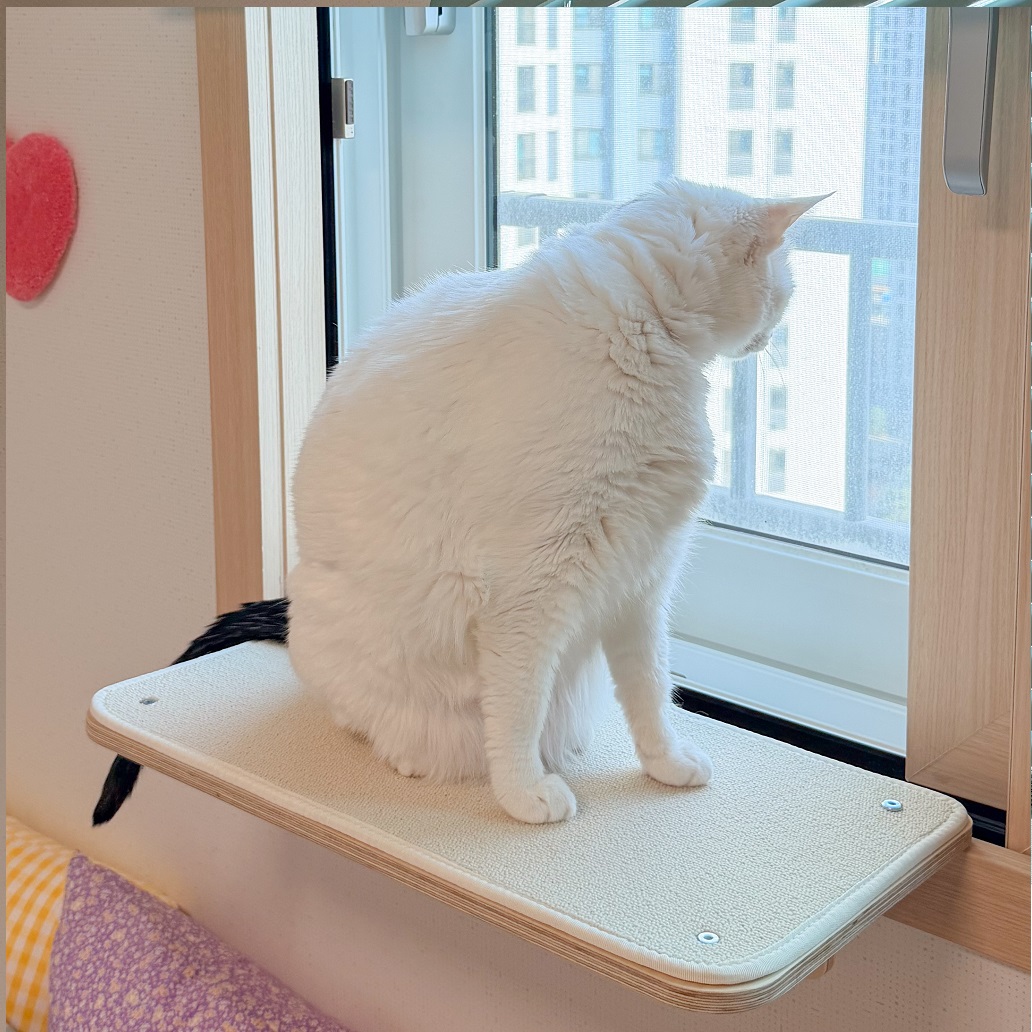 BPF 캣 고양이 창문 해먹 창틀 윈도우 선반 스텝 캣타워