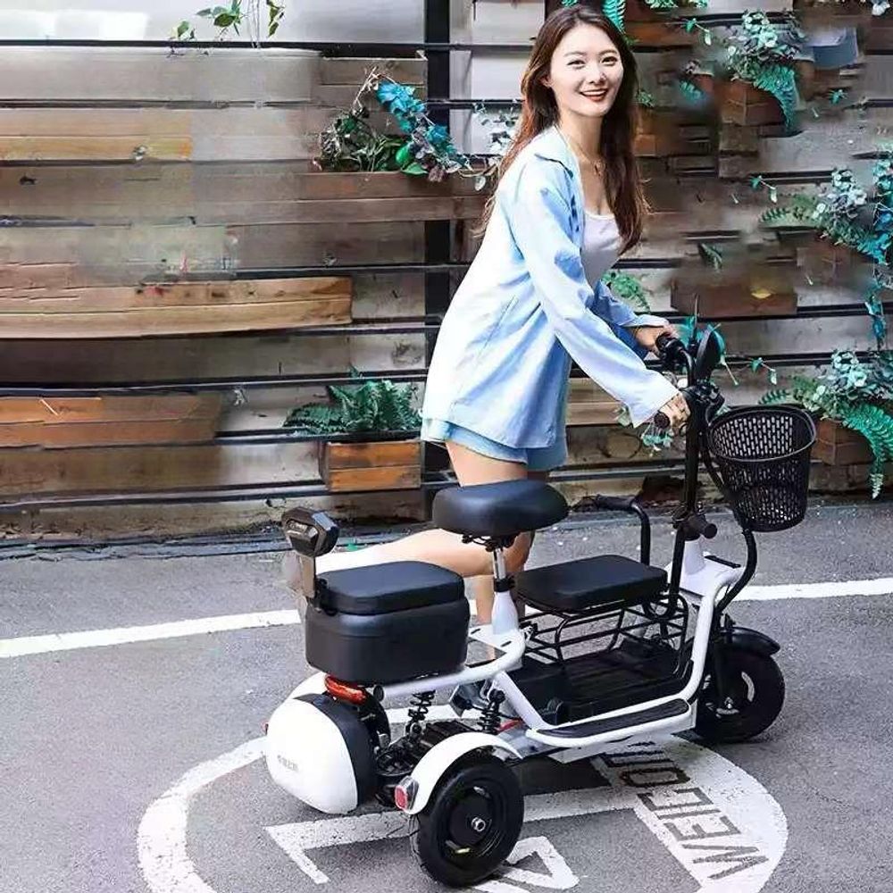 등하원 출퇴근용 세발전기자전거 3인용 삼륜 접이식 전동 미니