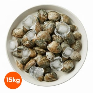 냉동 피바지락 15kg (500gX30) 해감 바지락 세척 술찜 칼국수 조개 업소용