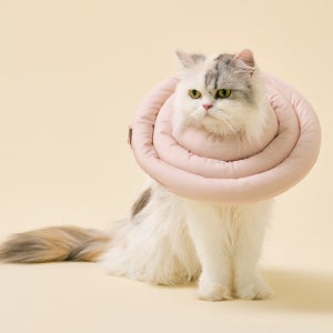 아르르 UFO 넥카라 강아지 고양이 푹신한 넥카라
