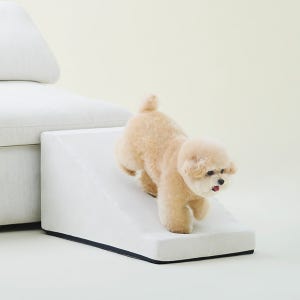 아르르 논슬립 슬라이드 V2 강아지 고양이 계단