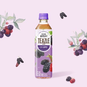 티즐 제로 오디블랙티 500mL 10개