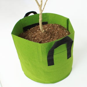 부직포 화분 블루베리 그로우백 대형 화분 5호(50 x 30cm) 58L, 그린
