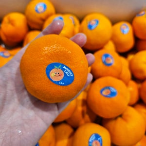 푸름온다 만다린 귤 썬키스트 외 감귤 5kg, 1개