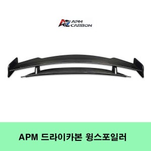 벤츠 AMG GT43 GT53 GT63 APM CARBON 드라이카본 윙 스포일러