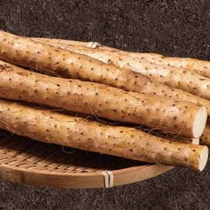 국내산 안동마 장마 햇마 생마 산약 산지직송 특품 1kg 2kg