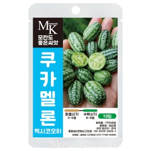모칸도 씨앗몰 쿠카멜론 씨앗 10립 열매채소 멕시코오이 종자 야채