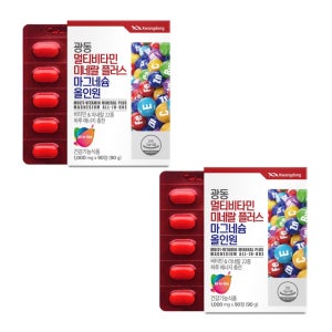 체력저하 만성피로 22종 광동 멀티비타민 미네랄 플러스 마그네슘 올인원 1,000mg 90정, 2개