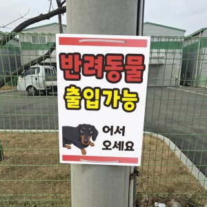 반려동물 출입가능 어서오세요 전봇대 휀스용 광고 금지 안내표지판 포맥스5T 40X60CM