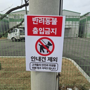 반려동물 출입금지 안내견 제외 전봇대 휀스용 광고 금지 안내표지판 포맥스5T 40X60CM
