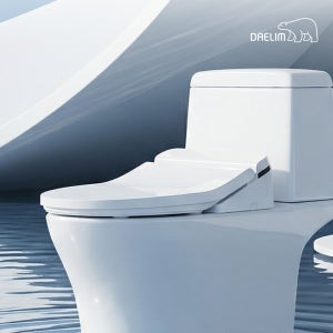 대림바스 26년형 듀얼블록 스마트앵글 스와이프 컨트롤 노필터 방수비데 DDS-S700