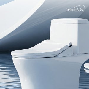 대림바스 26년형 방수비데 투블록 디자인 스와이프컨트롤 노필터 비데 DDS-S700