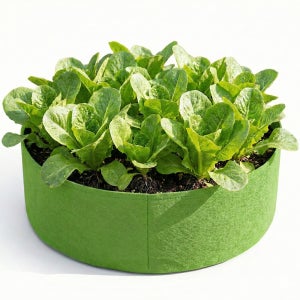 파파가든 낮은원형 부직포 화분 그로우백 실내 베란다 텃밭 대형 숨쉬는화분 D60cm x H20cm, 그린