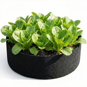 낮은원형 부직포 화분 대형 그로우백 D60cm x H20cm, 블랙
