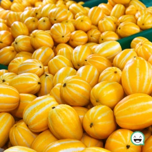 성주 꿀참외 달콤 아삭 참외 가정용 대과, 5kg, 1개