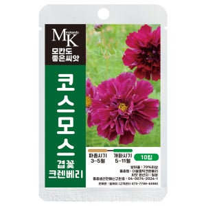 모칸도 씨앗몰 겹꽃코스모스 씨앗 10립 크렌베리 일년생 꽃씨