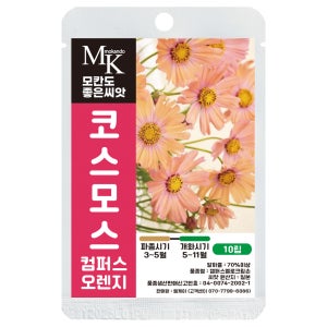 모칸도 씨앗몰 코스모스 씨앗 10립 컴퍼스 오렌지 일년생 꽃씨