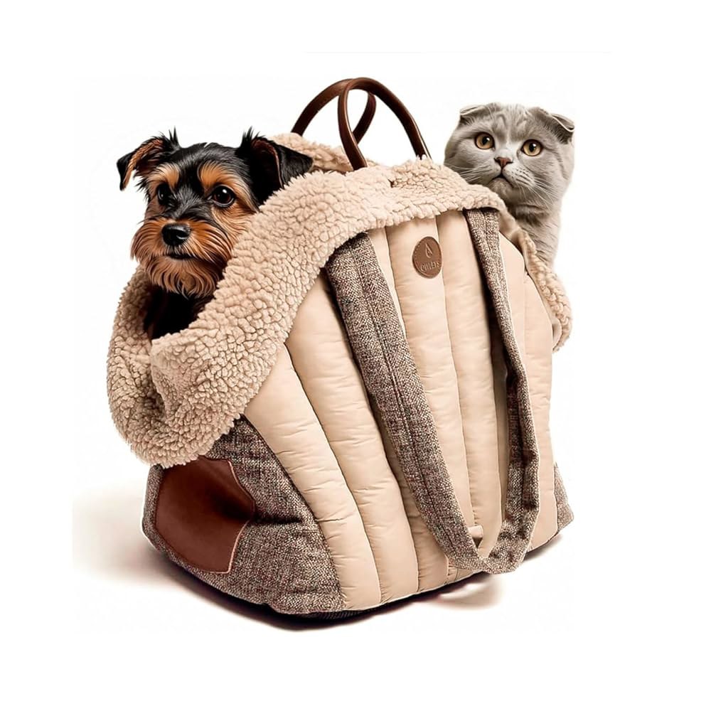 Pet Taxi (펫 택시)