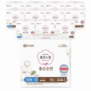 좋은느낌 좋은순면 날개형 대형, 16개입, 12팩