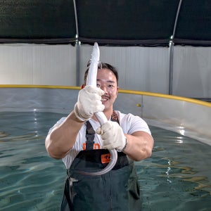 전북 김제 송수생 민물장어 1kg