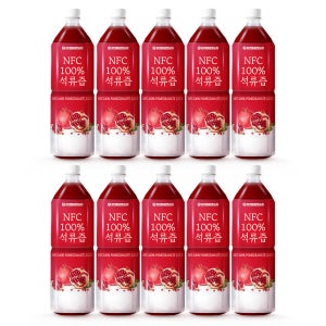 [8+2] 참앤들황토농원 NFC 착즙 석류즙주스 1L, 10개