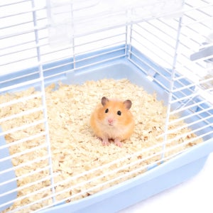 마이티펫 소나무 톱밥베딩 15리터 2개입