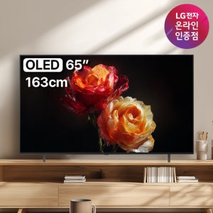 중복쿠폰 LG OLED TV AI 매직리모컨 포함 OLED65B5ENA (163cm), 벽걸이