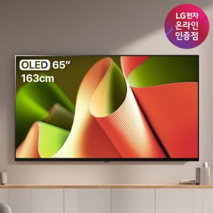 LG OLED TV AI 매직리모컨 포함 OLED65B5ENA (163cm), 벽걸이