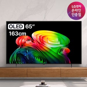 LG OLED TV 4K 최대144Hz OLED65B6ENA (163cm), 벽걸이