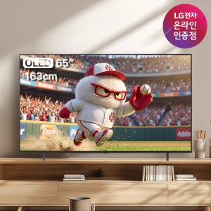 LG OLED TV AI 매직리모컨 포함 OLED65B5ENA (163cm), 벽걸이