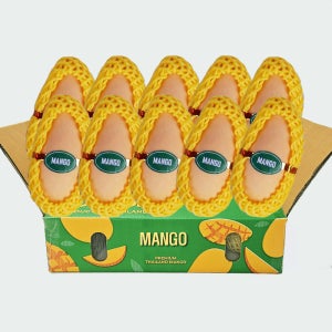 항공직송 태국 골드망고 고당도 남덕마이 망고 5kg, 1개