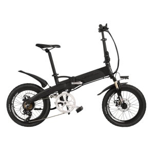 랑케레이시 G660S 접이식 전기자전거 48V13.4A 전동자전거 스포크휠500W 유압식