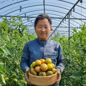 대저토마토 짭짤이토마토 2.5kg 부산