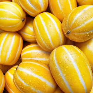 성주 고당도 꿀 참외 성주참외 10kg 초특가 가정용 2kg 5kg
