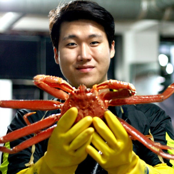 국내산 제철 박달 대게 홍게 게 포항 구룡포