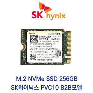 SK하이닉스 PVC10 M.2 NVMe SSD 256GB 2230 벌크 2280 확장 어댑터포함